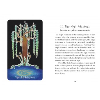 the Animystic Tarot kortos Schiffer Publishing